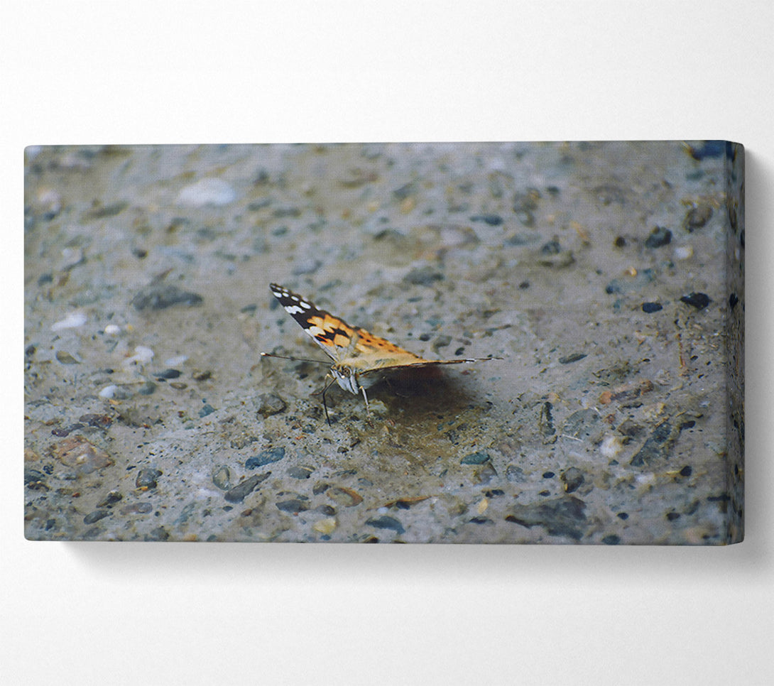  A Canvas Print of Orange On Grey Concrete Canvas Wall Art