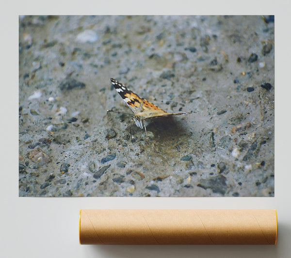 Orange On Grey Concrete Giclee Print