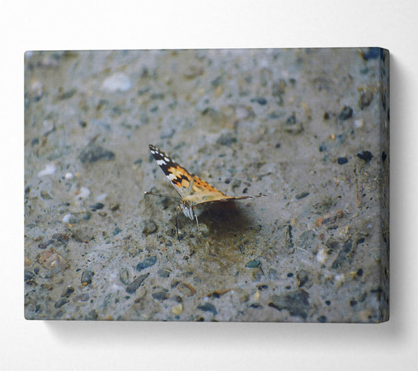  A Canvas Print of Orange On Grey Concrete Canvas Wall Art