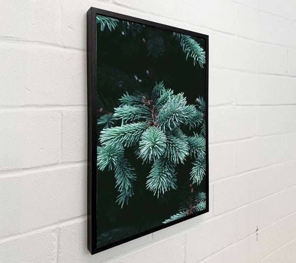 Teal Pine Sprigs