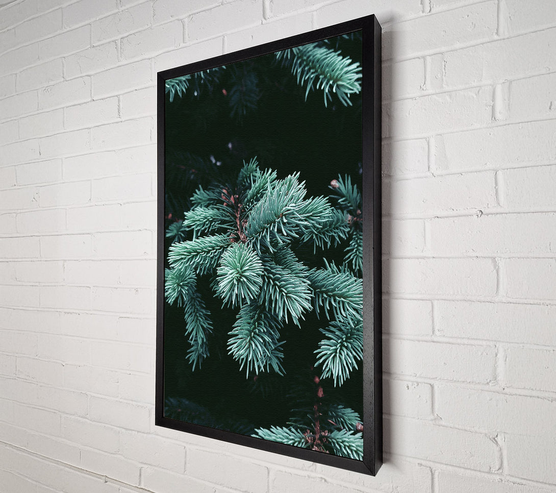  A Canvas Print of Teal Pine Sprigs Canvas Wall Art