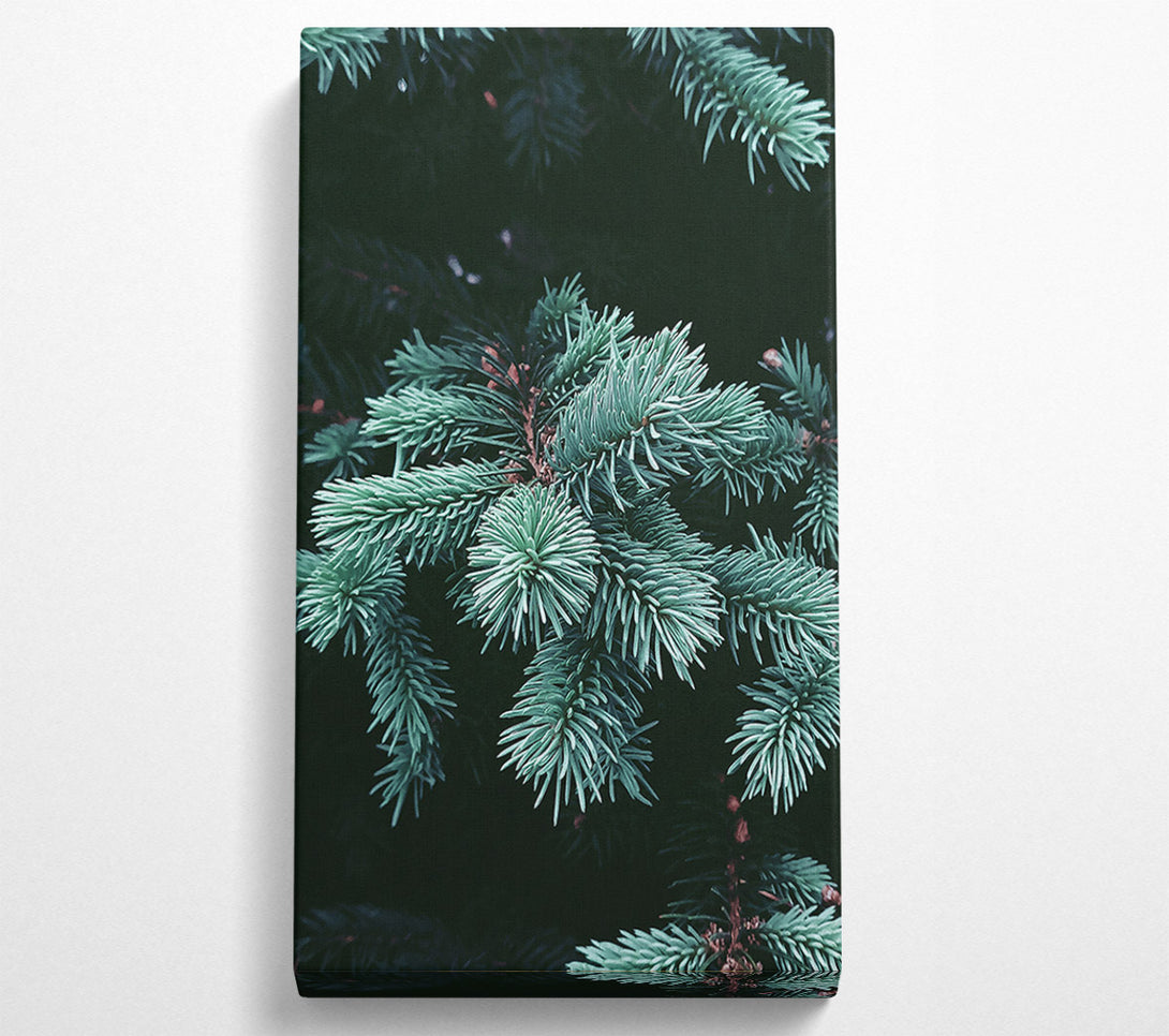  A Canvas Print of Teal Pine Sprigs Canvas Wall Art