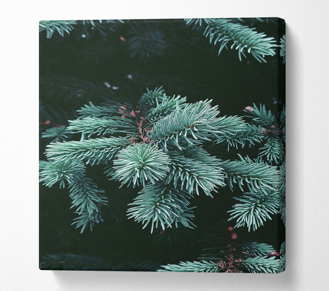  A Canvas Print of Teal Pine Sprigs Canvas Wall Art