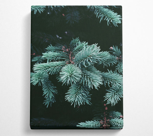 Teal Pine Sprigs Canvas Wall Art