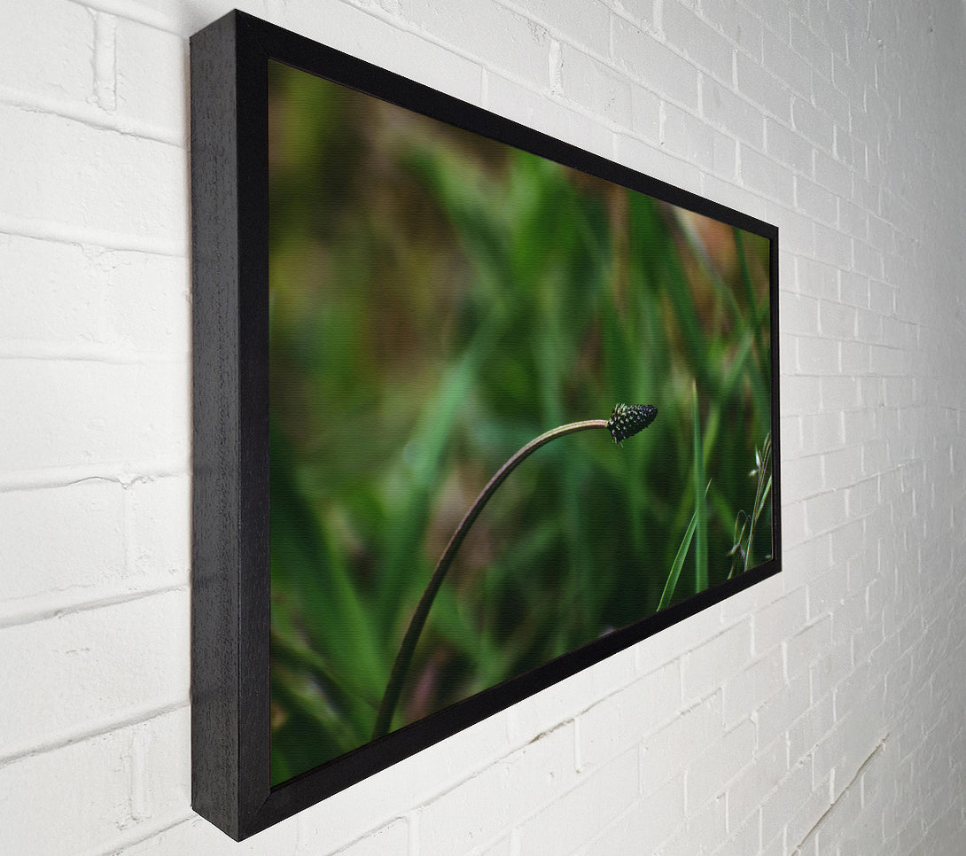  A Canvas Print of The Green Bloom Canvas Art