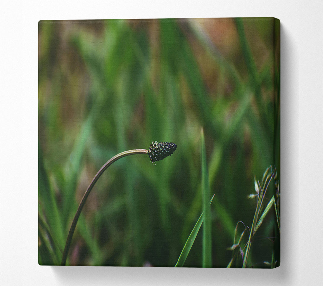  A Canvas Print of The Green Bloom Canvas Art
