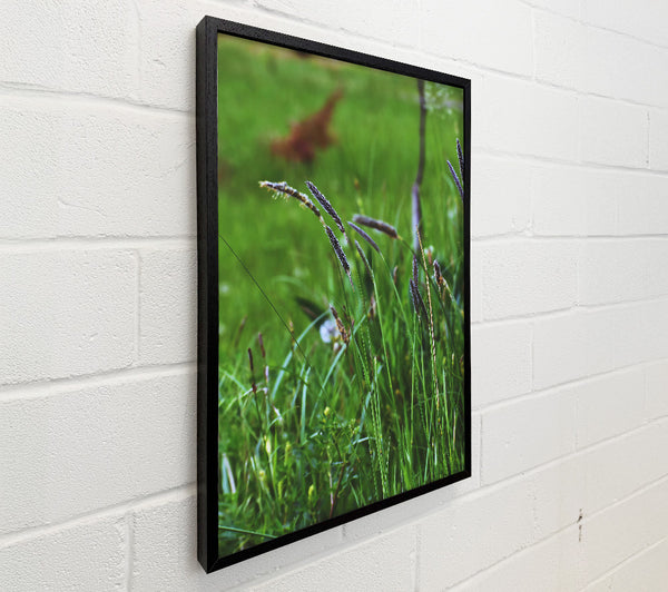 Purple Grass In Green Field