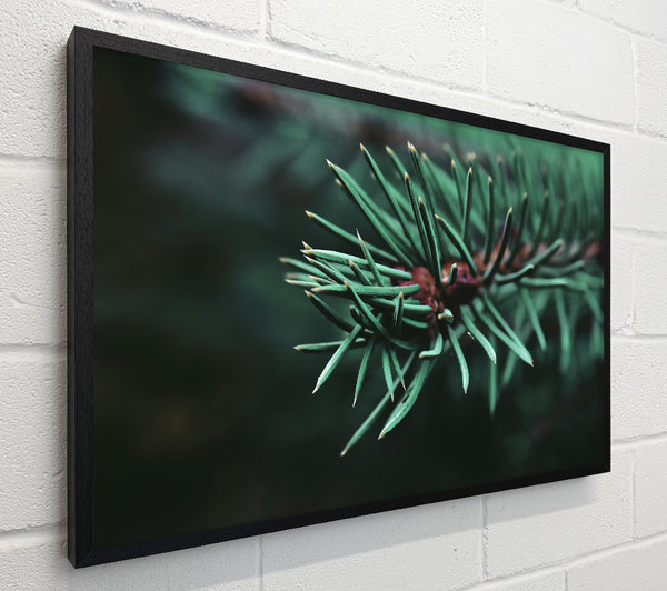 Emerald Evergreen Sprig