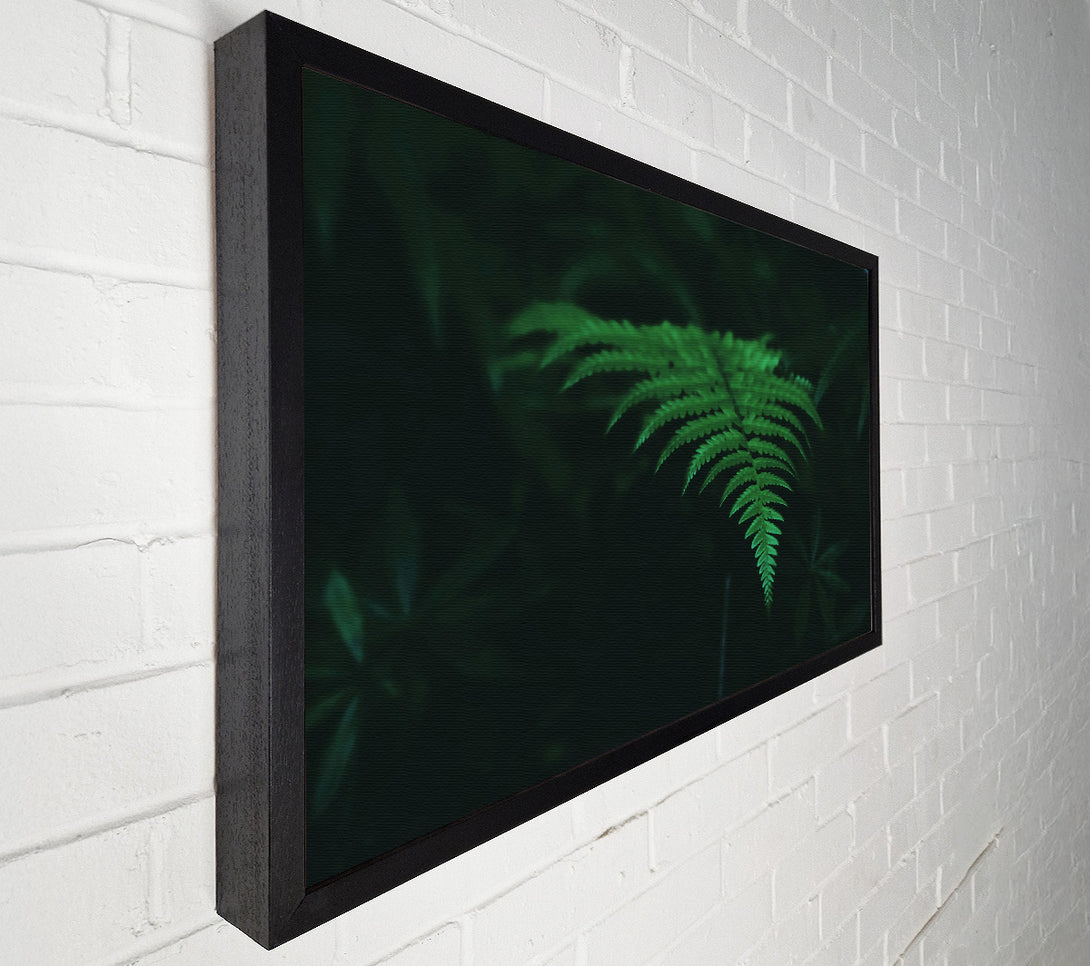  A Canvas Print of Emerald Green Fern Canvas Wall Art