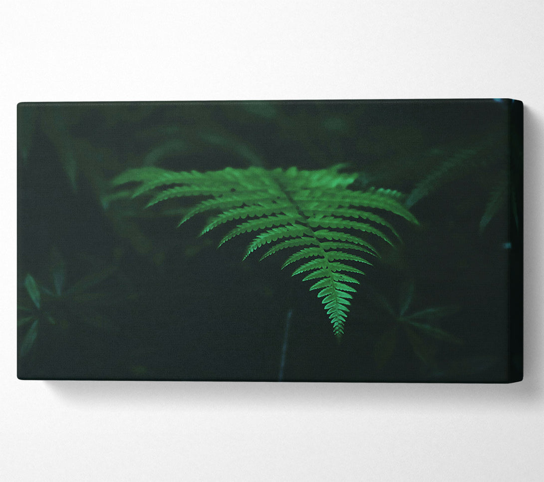  A Canvas Print of Emerald Green Fern Canvas Wall Art