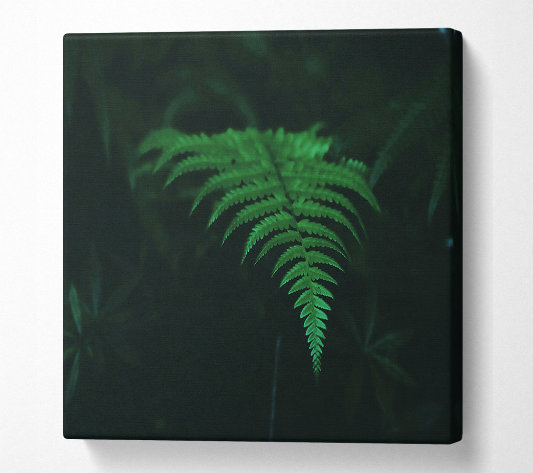  A Canvas Print of Emerald Green Fern Canvas Wall Art