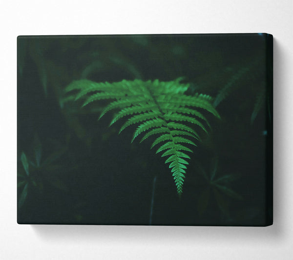  A Canvas Print of Emerald Green Fern Canvas Wall Art