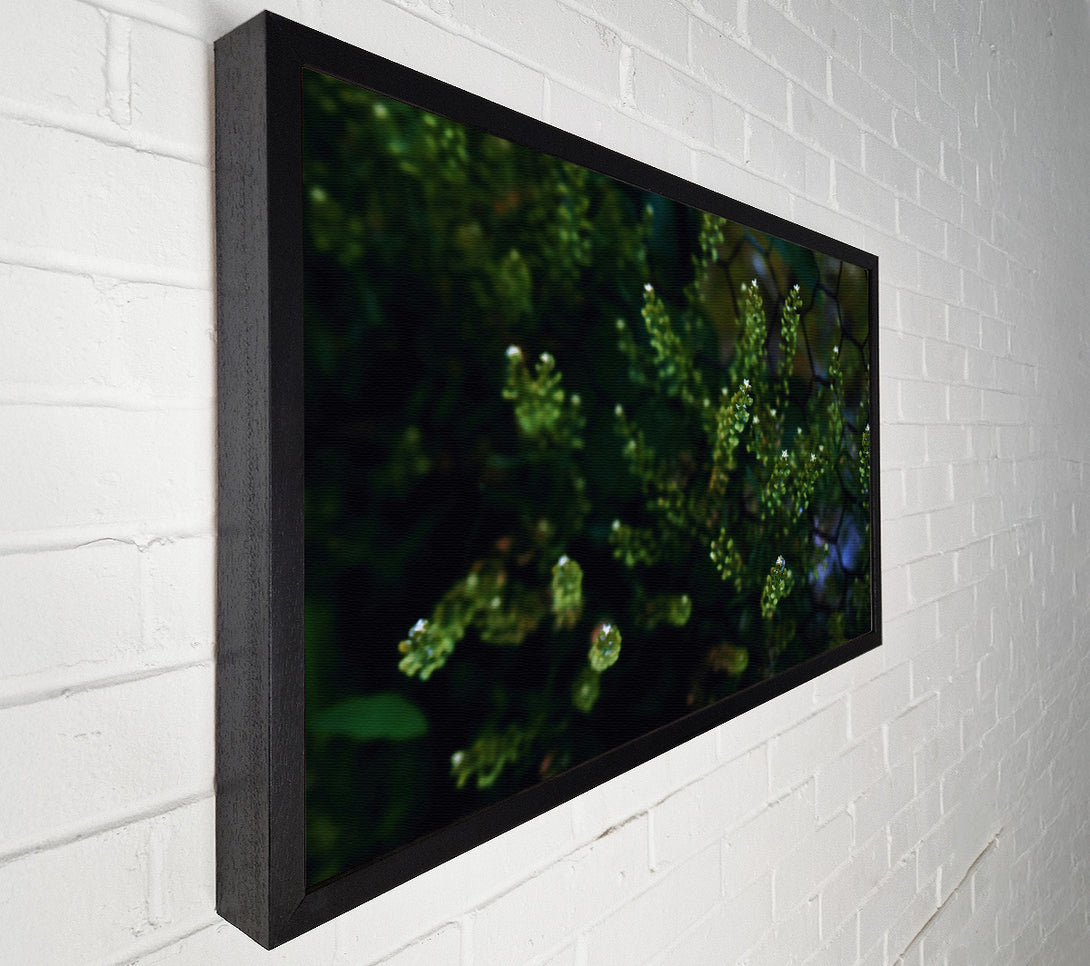  A Canvas Print of Emerald Green Blossoms Canvas Print