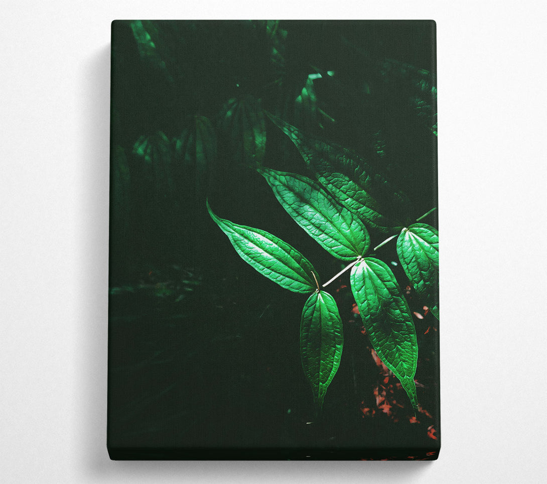  A Canvas Print of Emerald Green Leaves Canvas Print