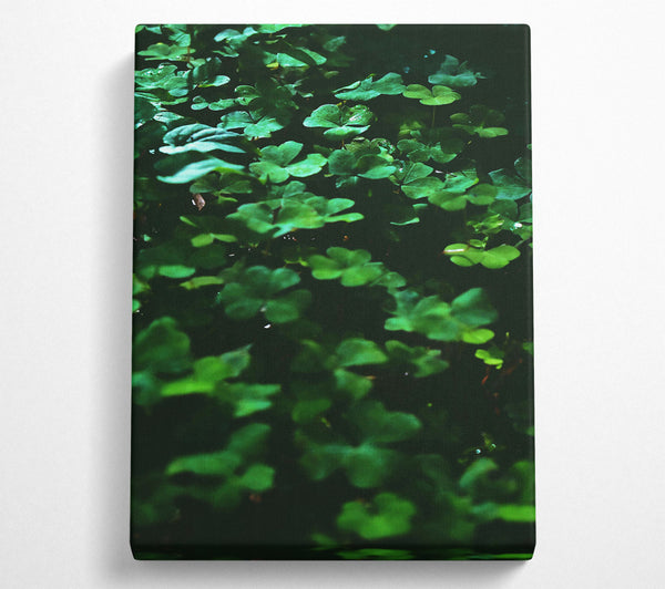  A Canvas Print of Emerald Green Clover Field Canvas Wall Art
