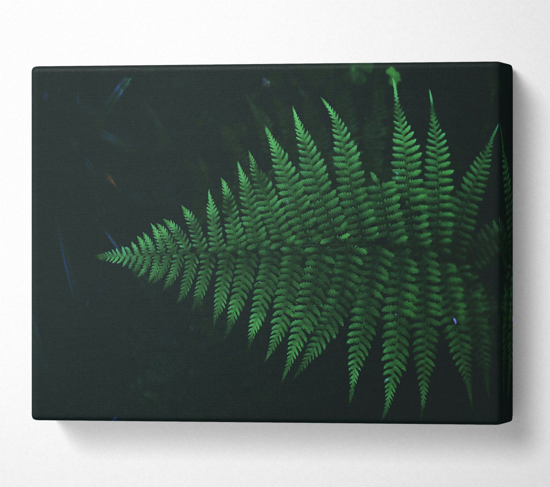  A Canvas Print of Emerald Fern Fronds Canvas Art