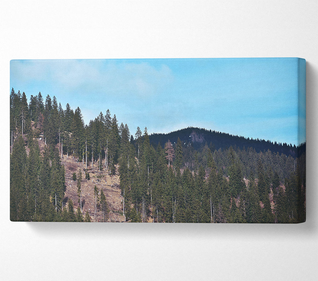  A Canvas Print of Blue Sky Evergreen Ridge Canvas Wall Art