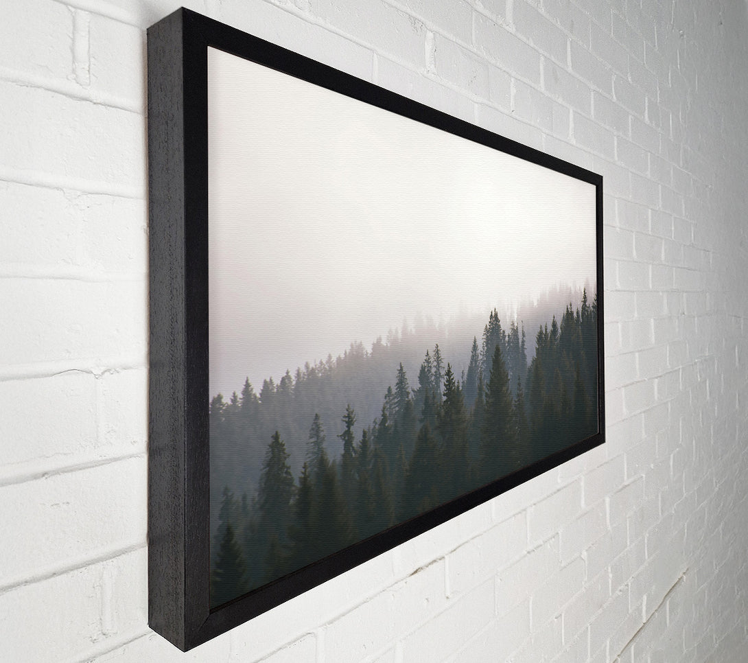  A Canvas Print of White Foggy Forest Canvas Wall Art