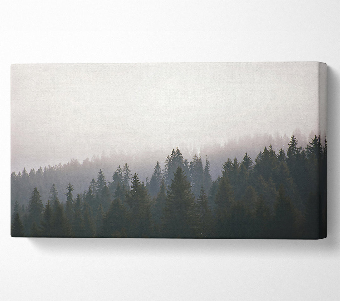  A Canvas Print of White Foggy Forest Canvas Wall Art