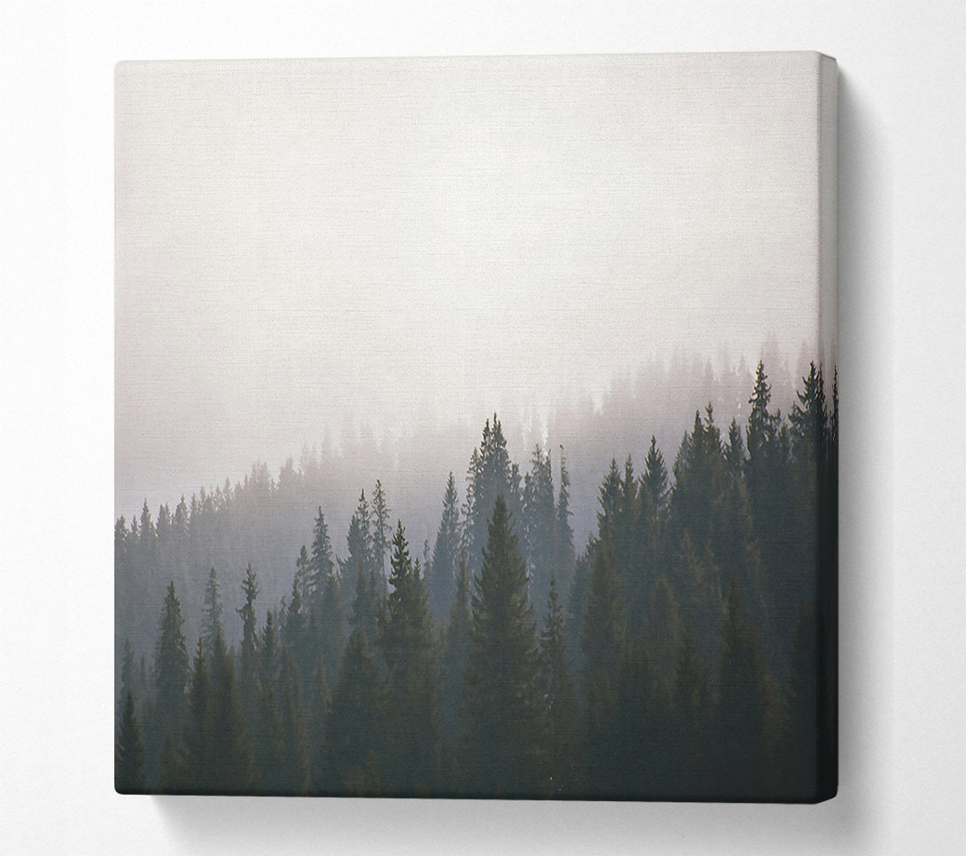  A Canvas Print of White Foggy Forest Canvas Wall Art