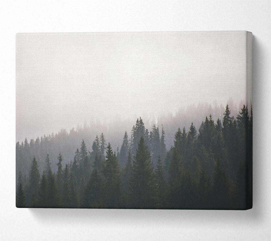  A Canvas Print of White Foggy Forest Canvas Wall Art