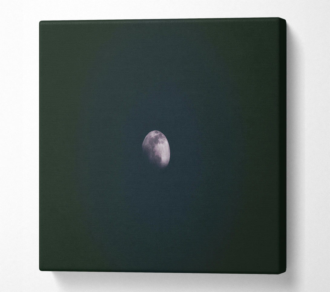  A Canvas Print of Pale Moon'S Embrace Canvas Print