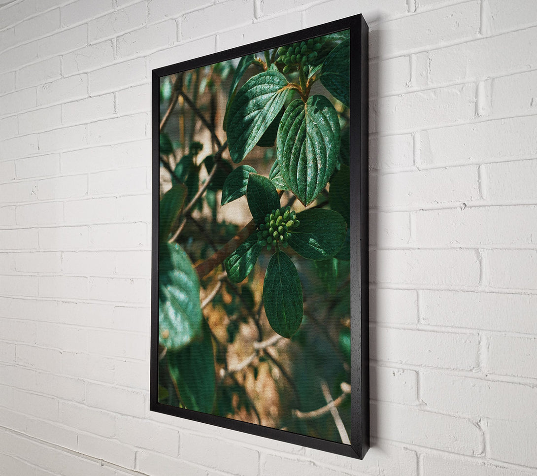  A Canvas Print of Emerald Green Boughs Canvas Wall Art