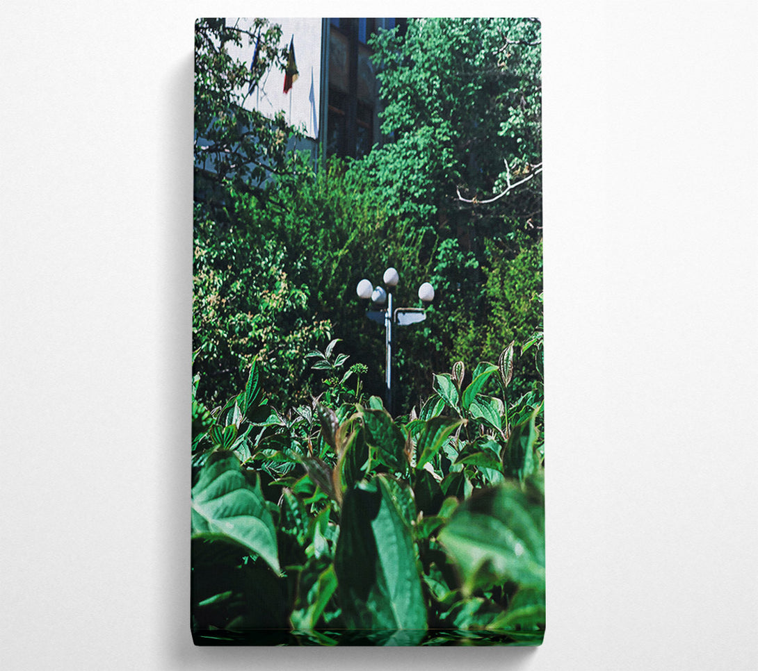  A Canvas Print of Emerald City Lights Canvas Wall Art