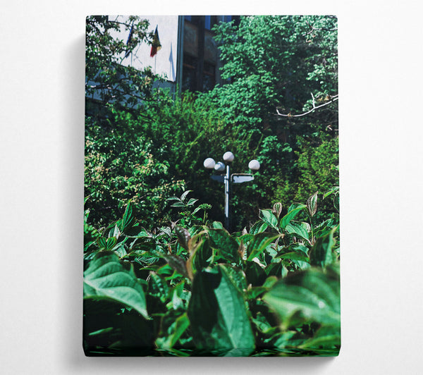  A Canvas Print of Emerald City Lights Canvas Wall Art