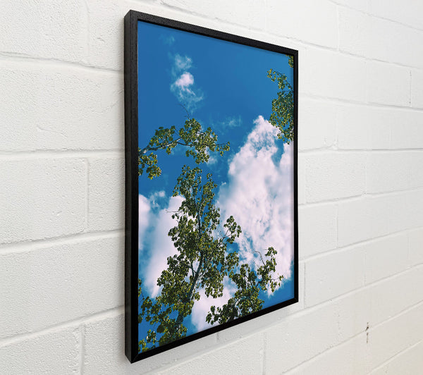 Azure Canopy Dreams