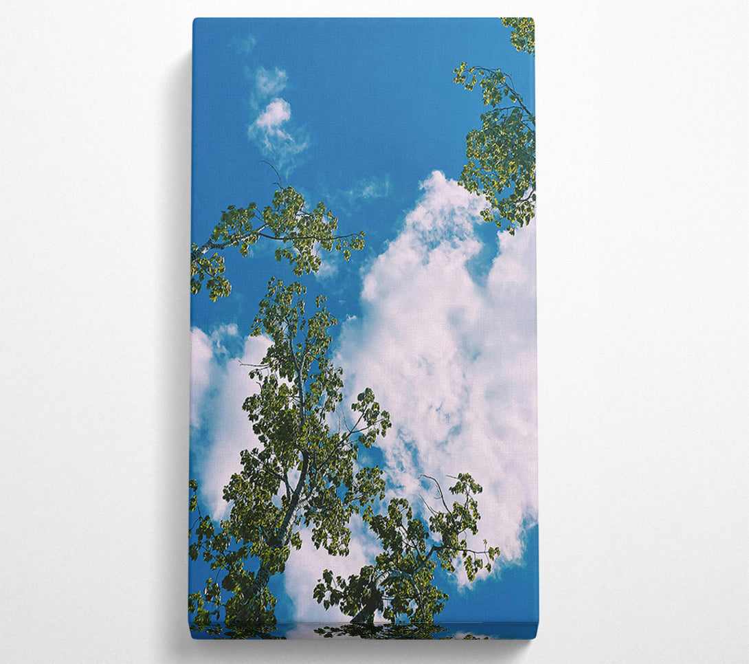  A Canvas Print of Azure Canopy Dreams Canvas Print
