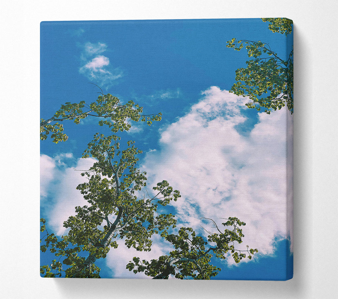  A Canvas Print of Azure Canopy Dreams Canvas Print