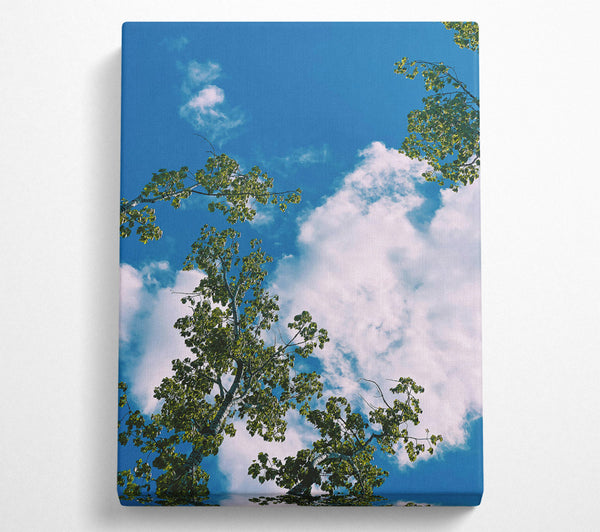  A Canvas Print of Azure Canopy Dreams Canvas Print