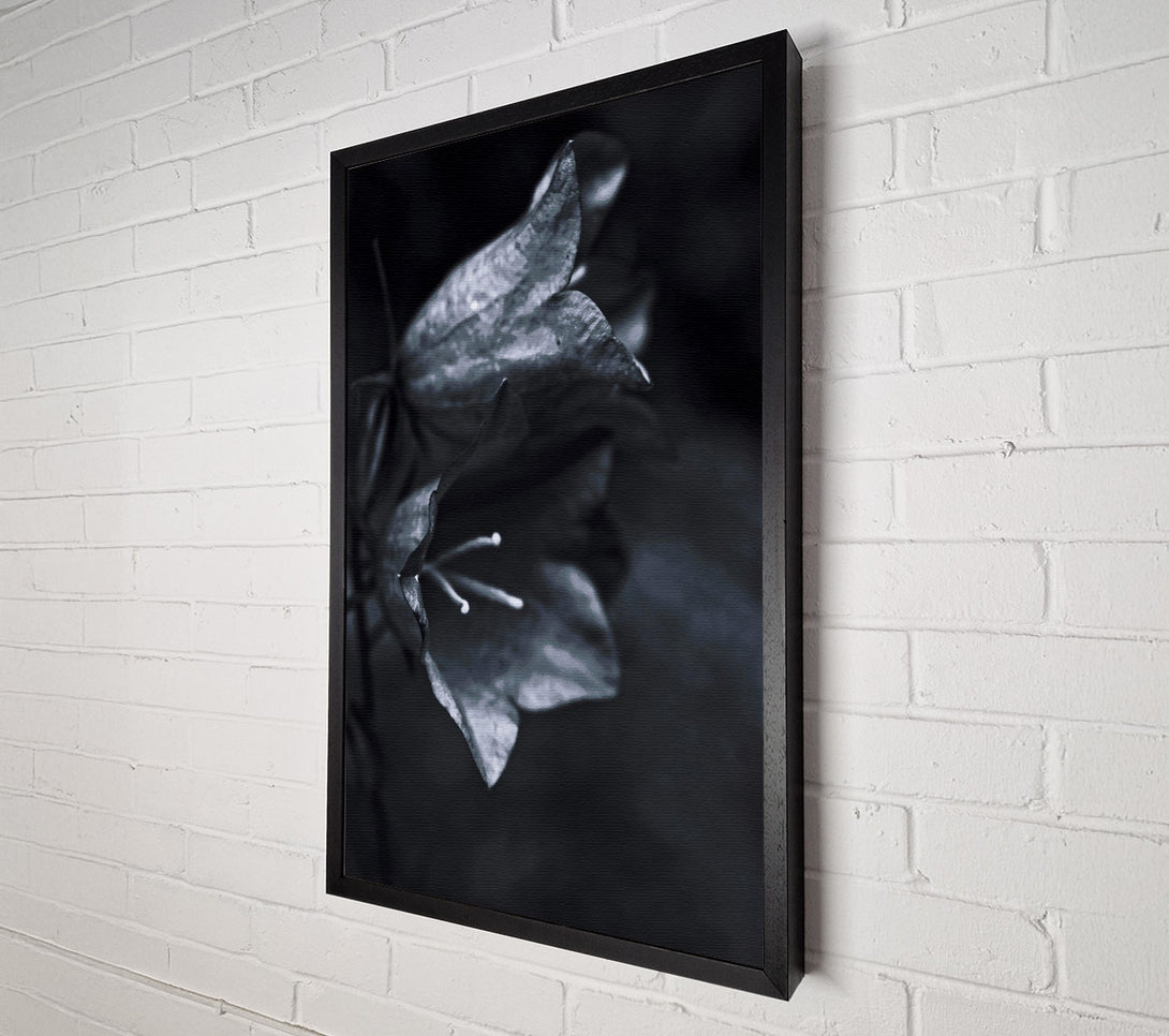  A Canvas Print of Silver Bell Shadows Canvas Art