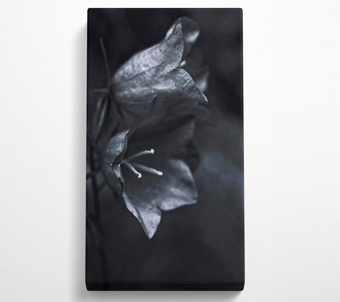  A Canvas Print of Silver Bell Shadows Canvas Art