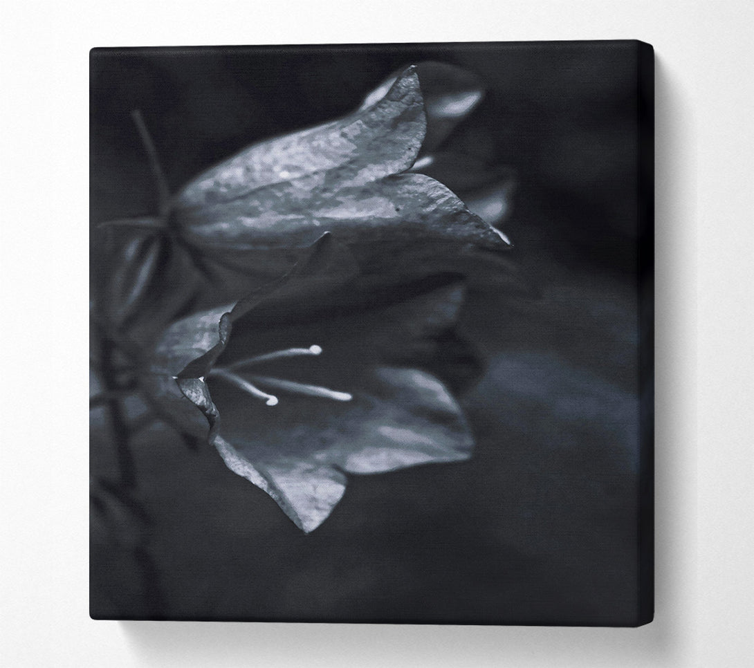  A Canvas Print of Silver Bell Shadows Canvas Art