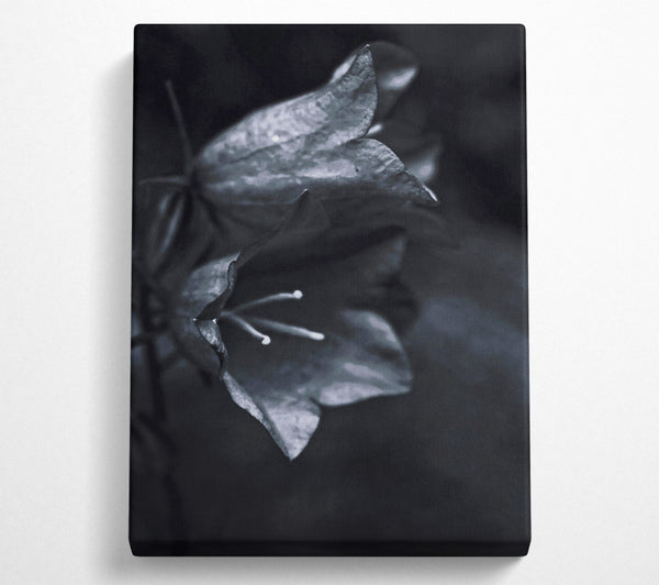  A Canvas Print of Silver Bell Shadows Canvas Art