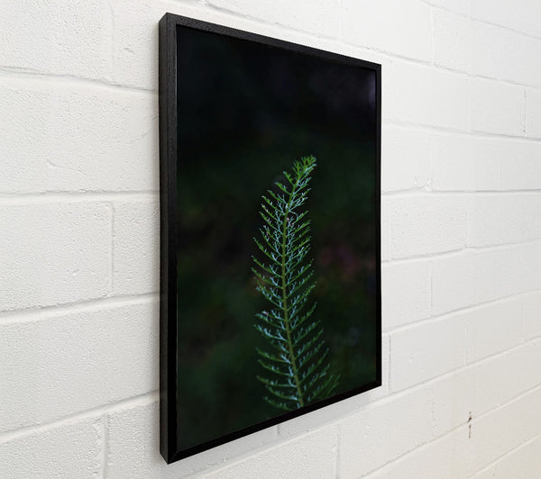 Emerald Sprig Of Life.