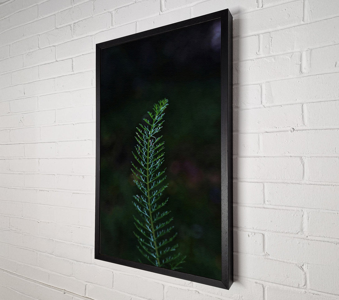  A Canvas Print of Emerald Sprig Of Life. Canvas Print