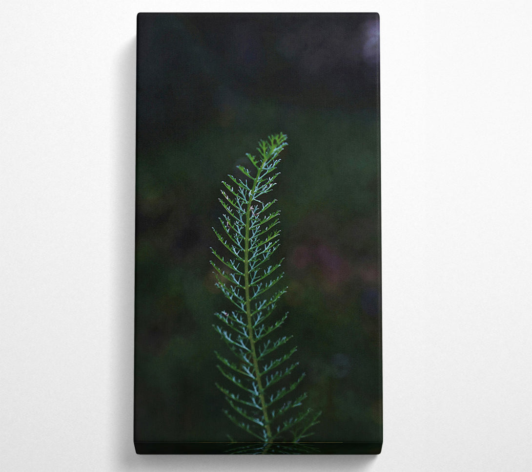  A Canvas Print of Emerald Sprig Of Life. Canvas Print