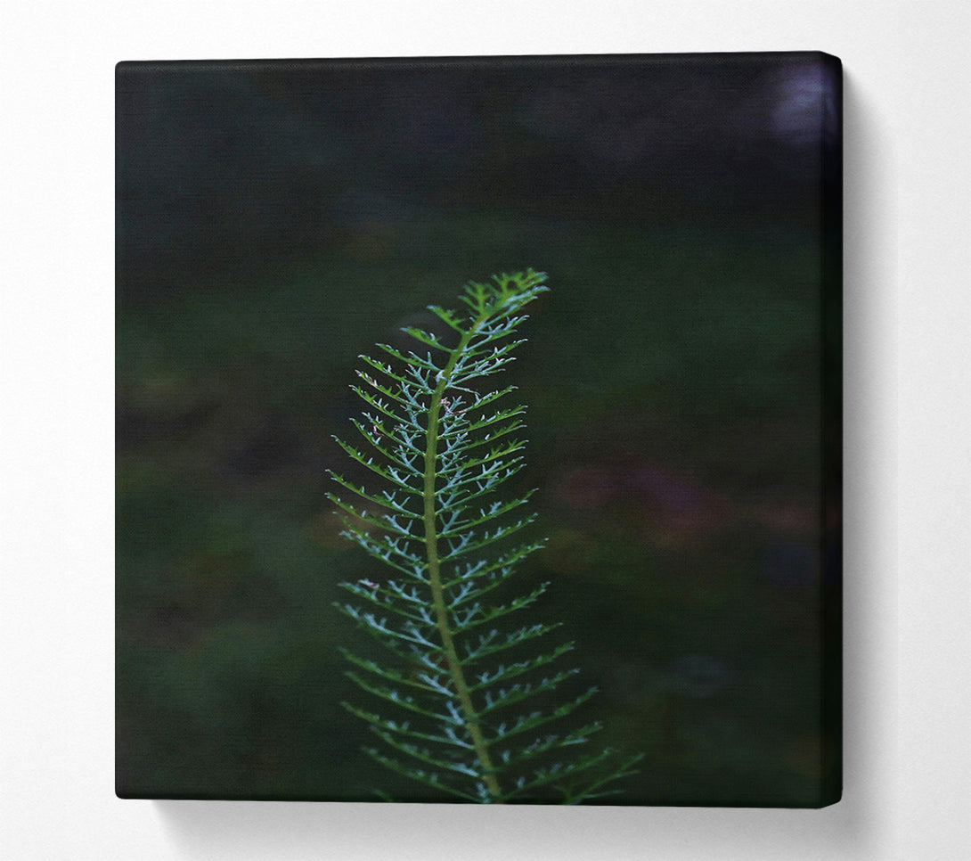  A Canvas Print of Emerald Sprig Of Life. Canvas Print