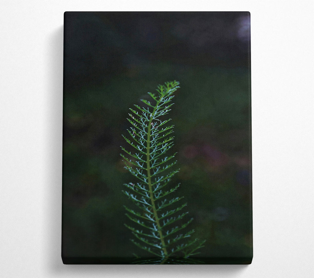  A Canvas Print of Emerald Sprig Of Life. Canvas Print