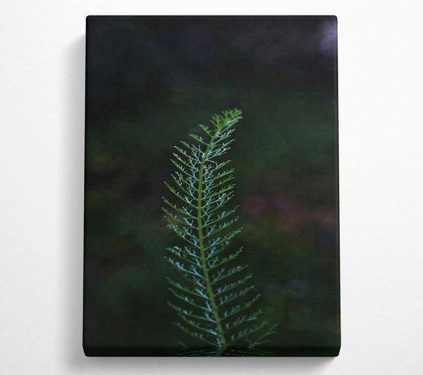  A Canvas Print of Emerald Sprig Of Life. Canvas Print