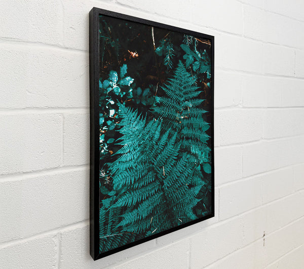 Teal Forest Ferns