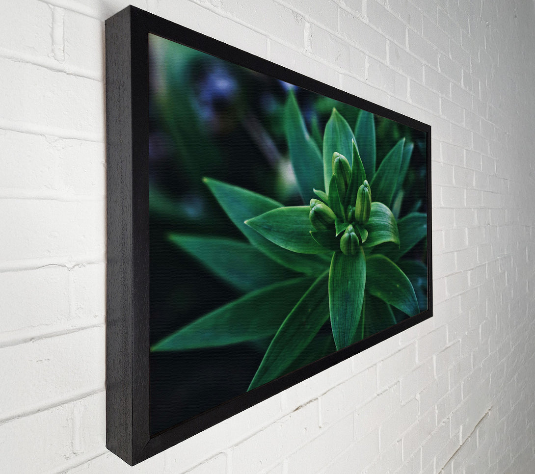  A Canvas Print of Emerald Green Buds Canvas Art
