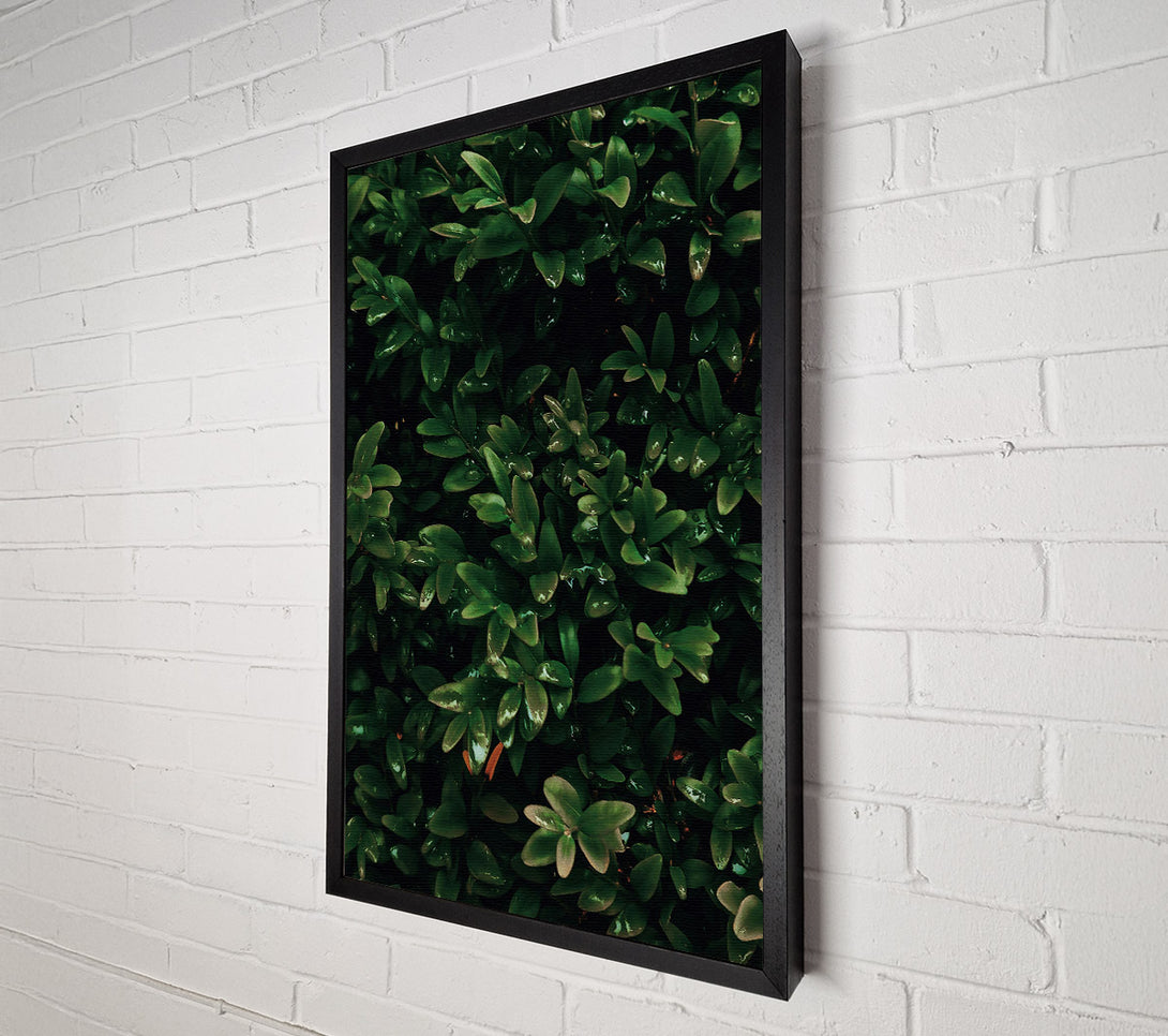  A Canvas Print of Emerald Green Lushness Canvas Art