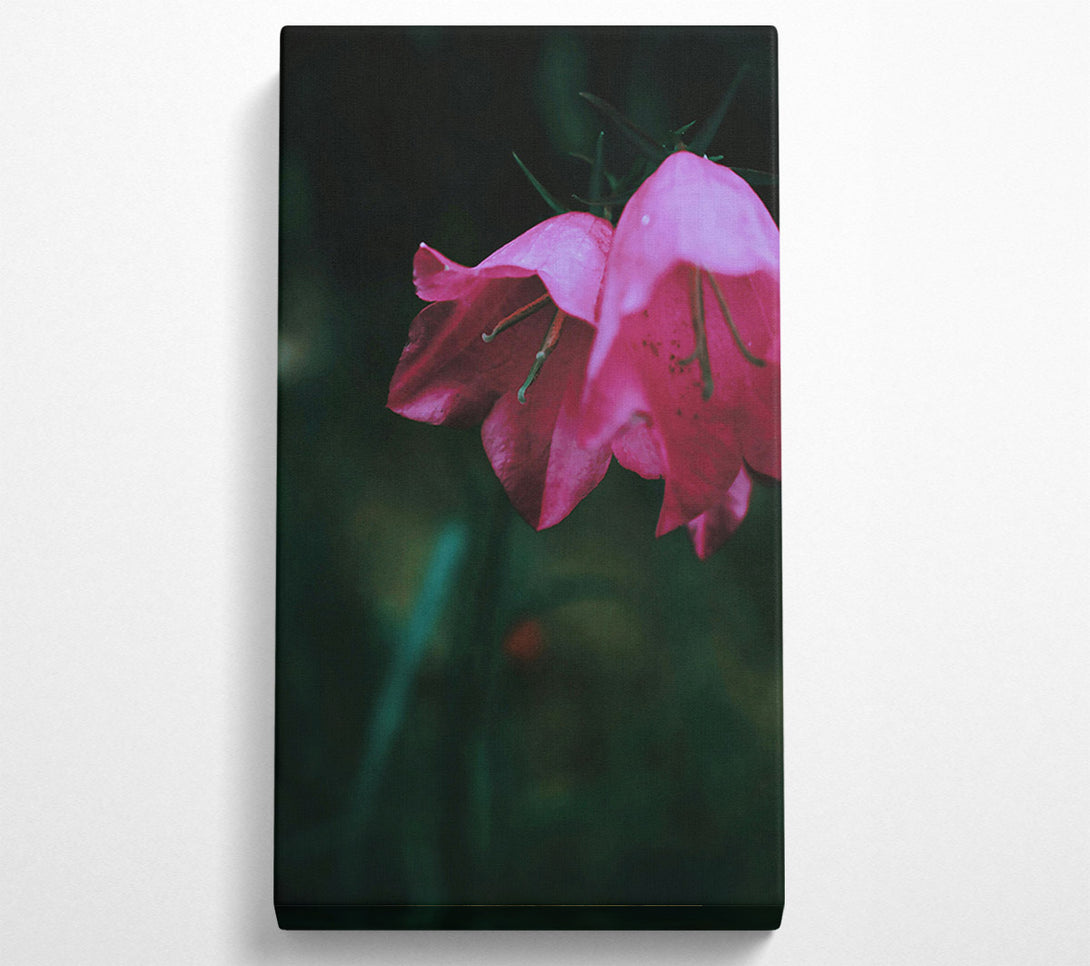 A Canvas Print of Crimson Bell'S Bloom Canvas Wall Art
