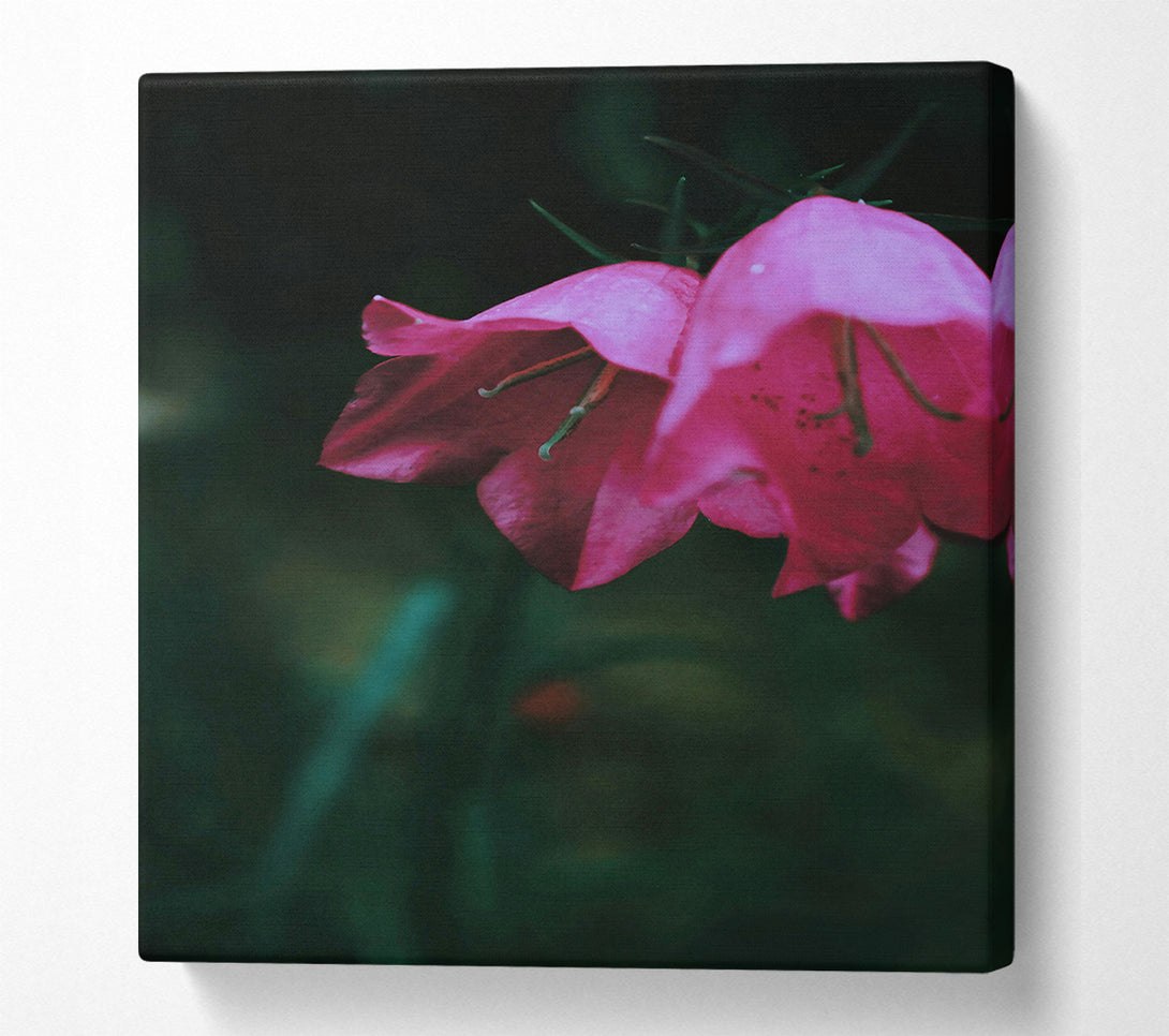  A Canvas Print of Crimson Bell'S Bloom Canvas Wall Art