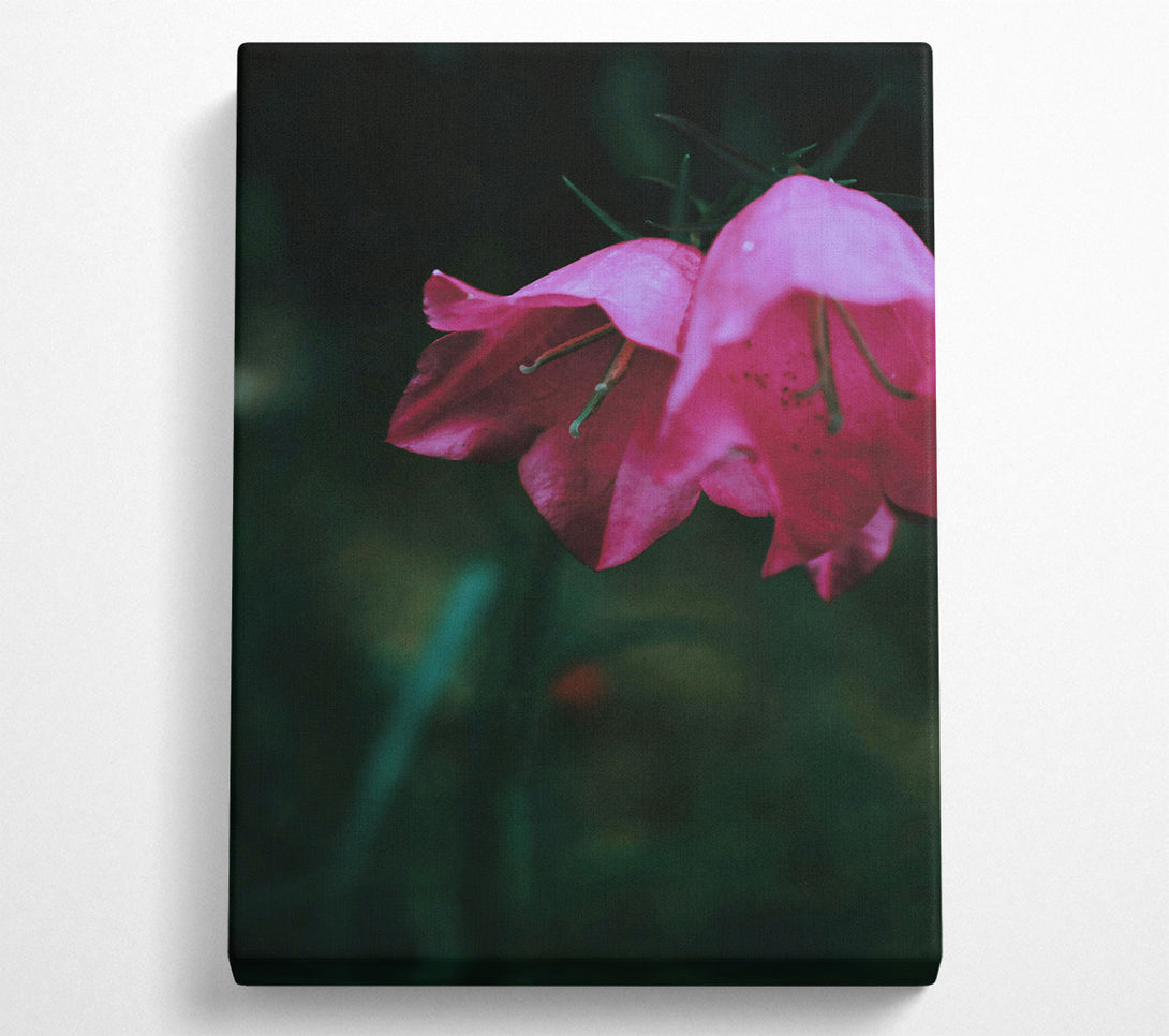  A Canvas Print of Crimson Bell'S Bloom Canvas Wall Art