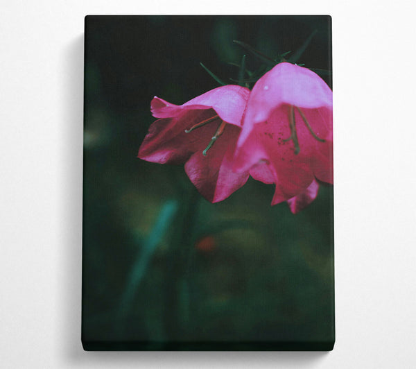  A Canvas Print of Crimson Bell'S Bloom Canvas Wall Art